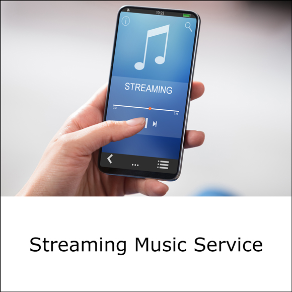 Streamlined_music_ser