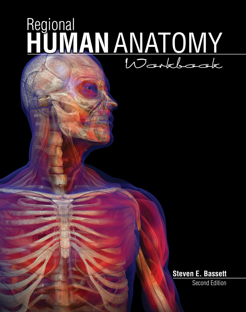 Regional Human Anatomy Workbook