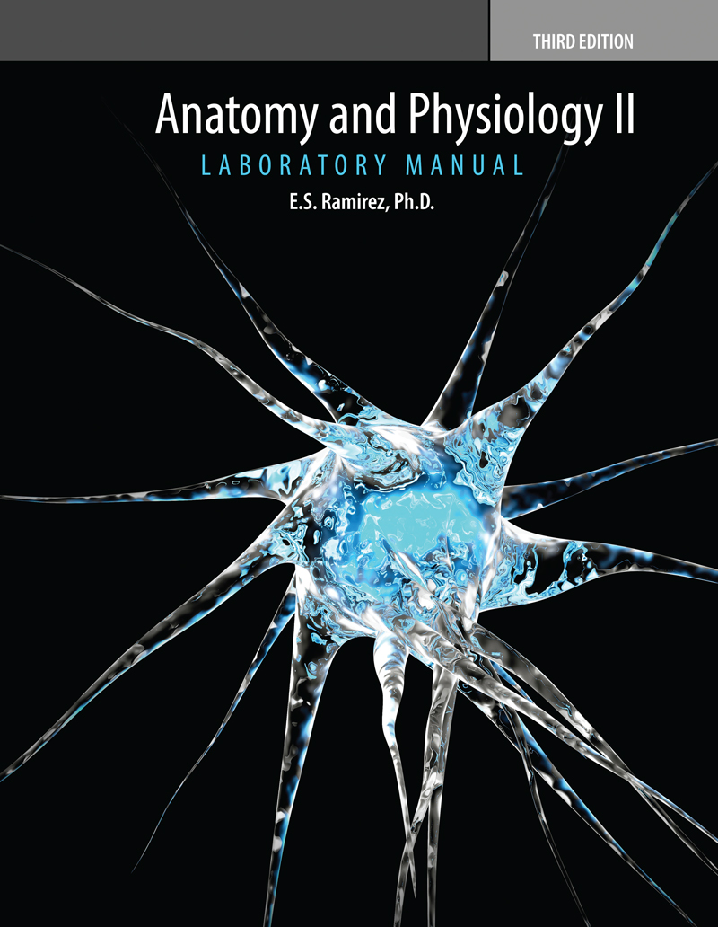Anatomy and Physiology II Laboratory Manual