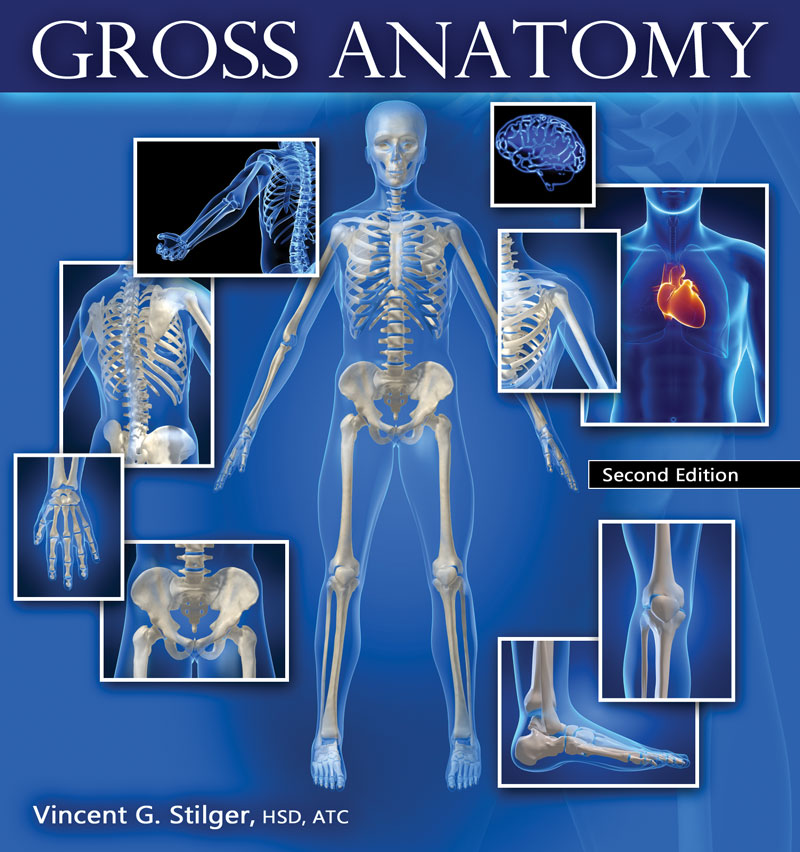 Gross Anatomy Higher Education
