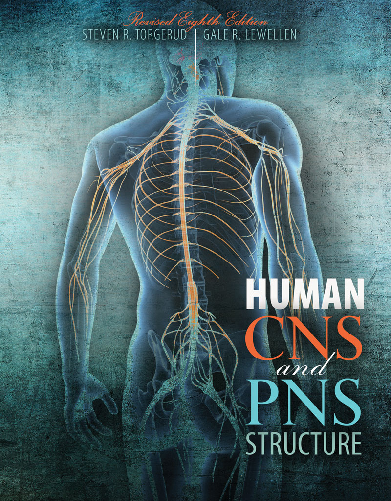 Human CNS and PNS Structure Biology Diagrams