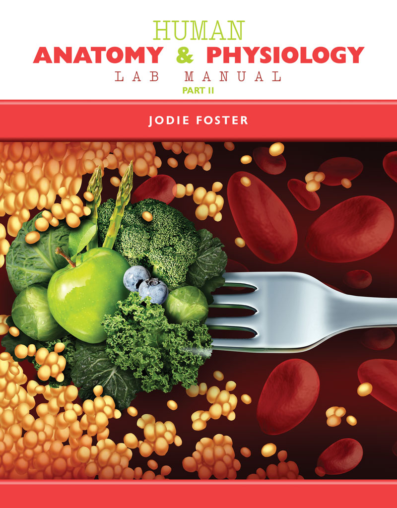 Human Anatomy & Physiology Lab Manual Part II