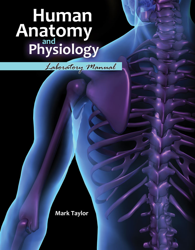 anatomy and physiology