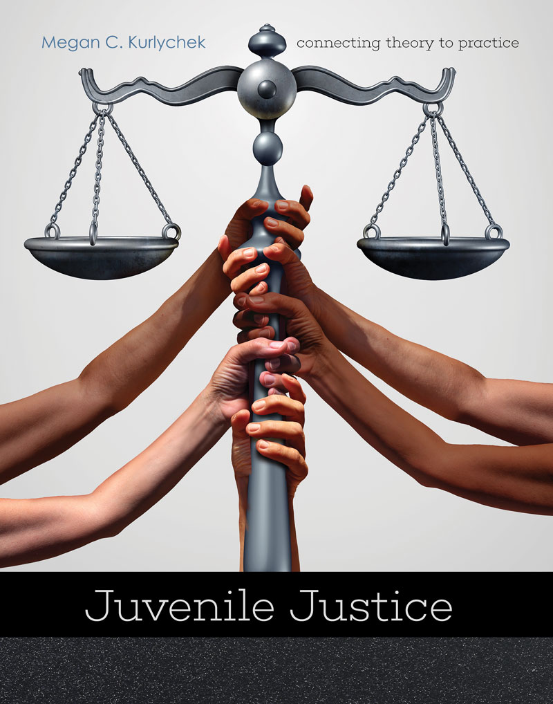 Reforming Juvenile Justice Paths to Rehabilitation and Fairness