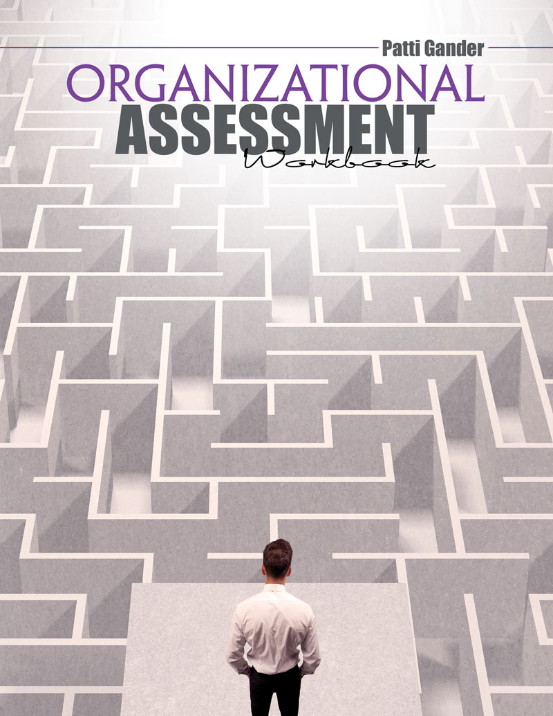 Organizational Assessment Workbook