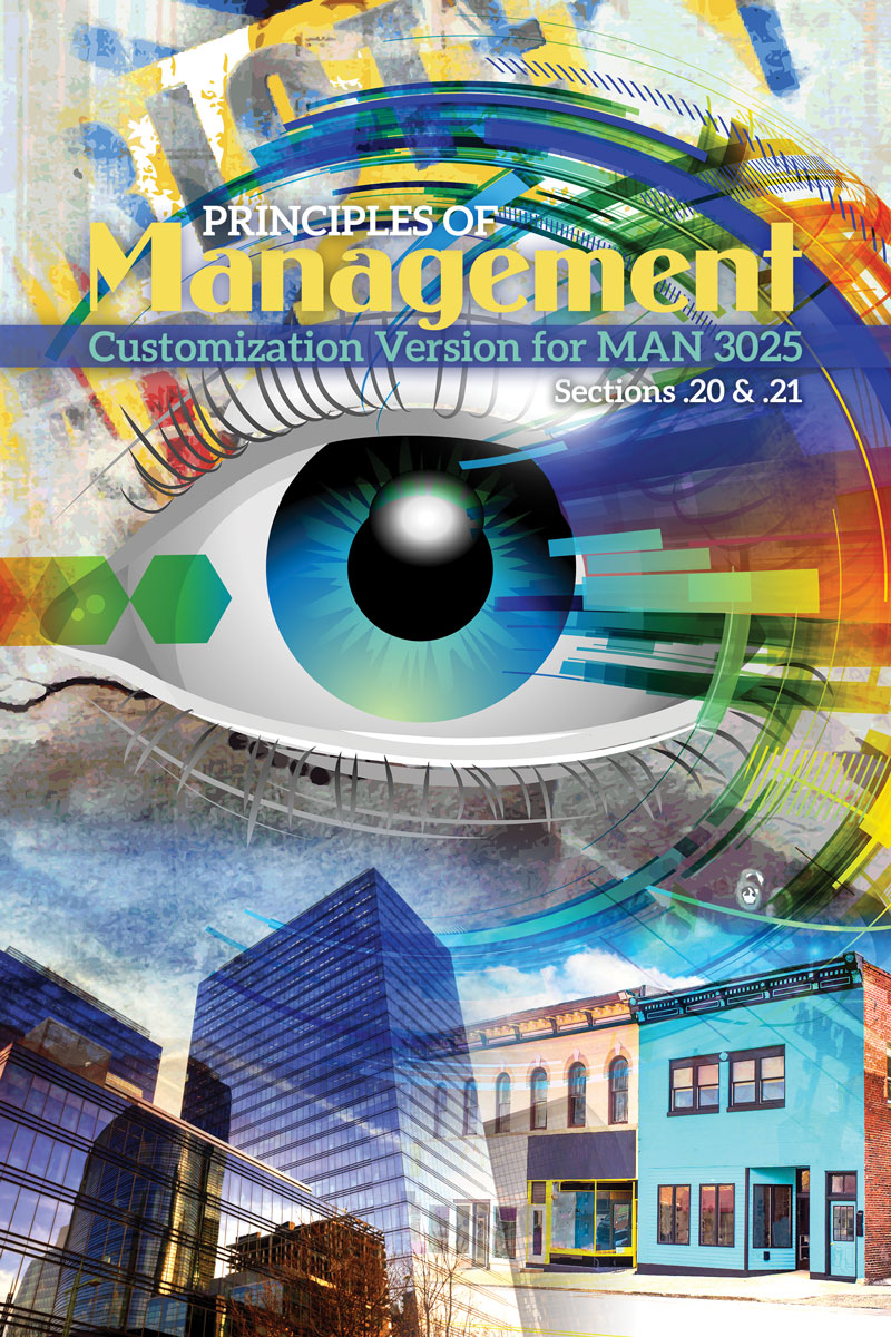 Principles of Management: Customized Version for MAN 3025