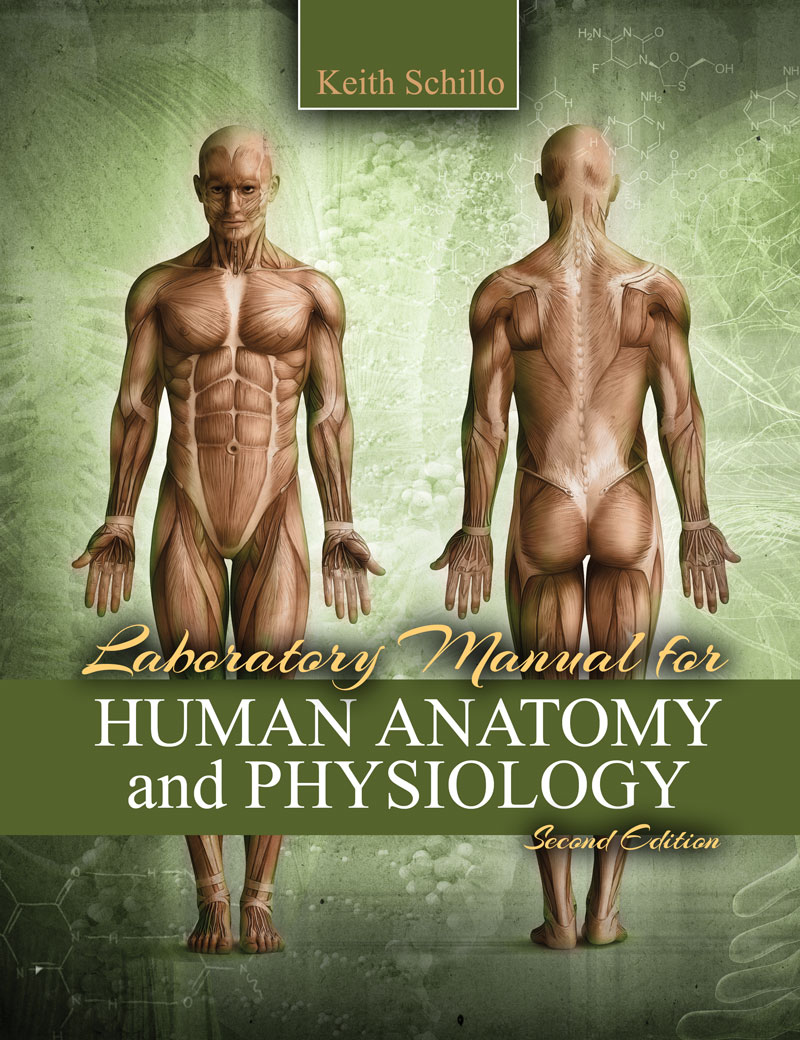Laboratory Manual for Human Anatomy and Physiology