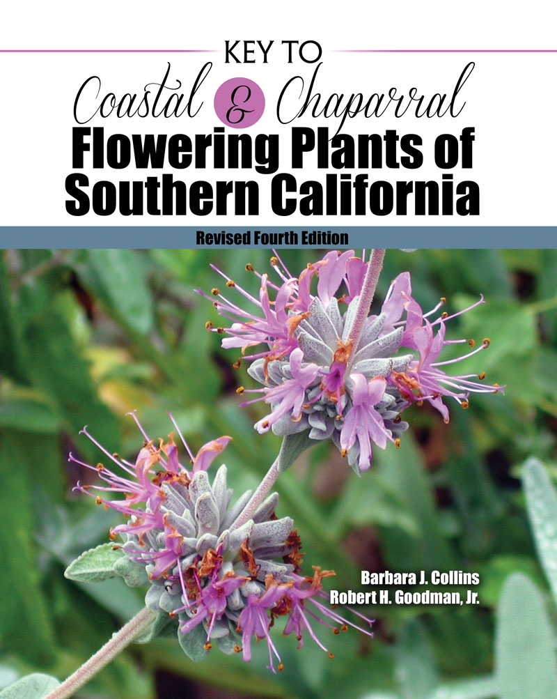 Key To Coastal And Chaparral Flowering Plants Of Southern Coastal And Chaparral Flowering Plants