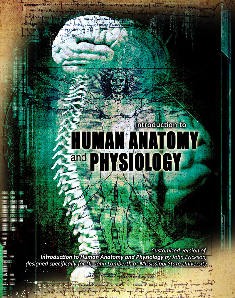 Customized version of Introduction to Human Anatomy and Physiology by Steve L Hardy, designed specifically for Dr. John Lamberth at Mississippi State University