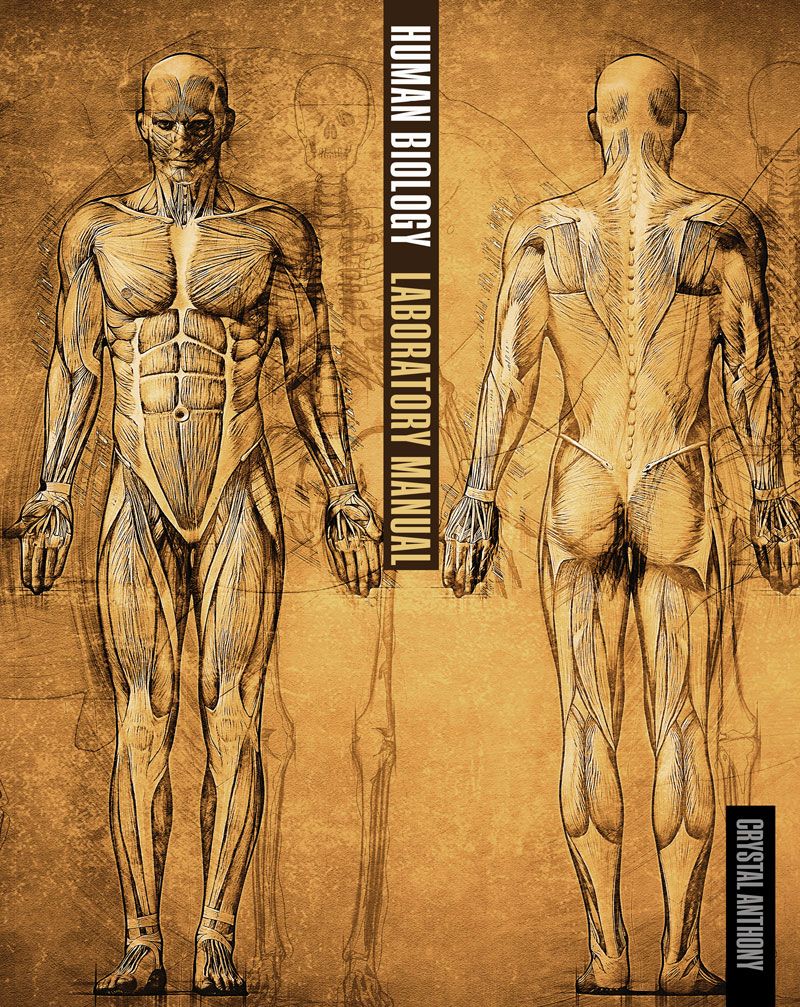Human Biology Laboratory Manual