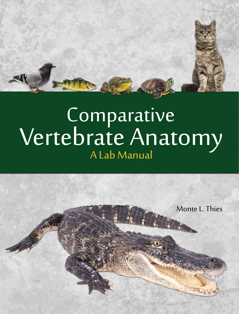 Comparative Vertebrate Anatomy: A Lab Manual | Higher Education