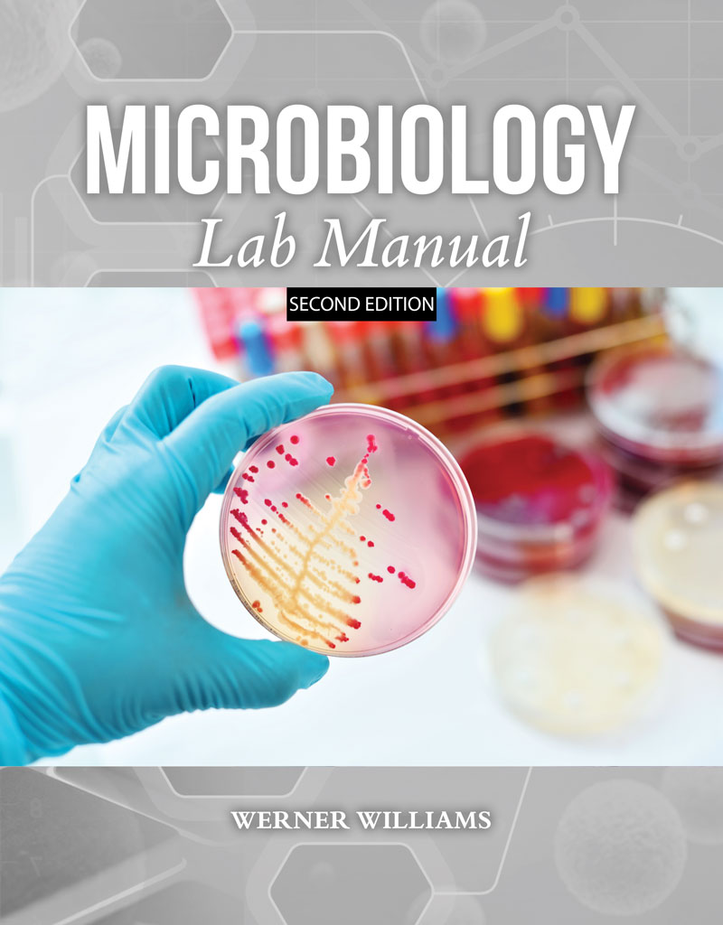 Microbiology Lab Manual Higher Education