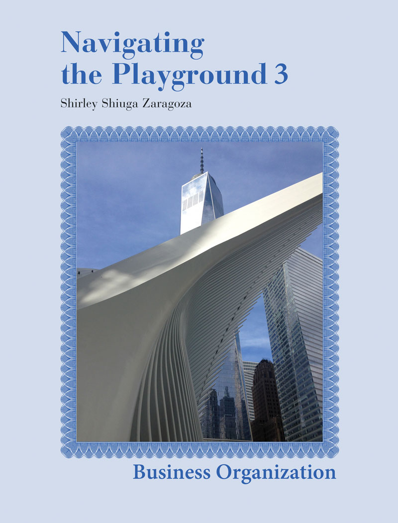Navigating the Playground 3, Business Organization