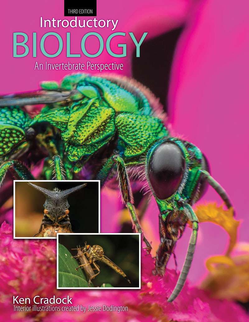 Introductory Biology: An Invertebrate Perspective