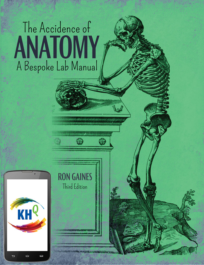 Accidence of Anatomy: A Bespoke Lab Manual