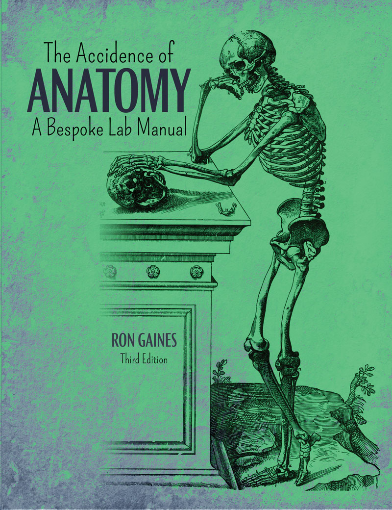 The Accidence of Anatomy: A Bespoke Lab Manual