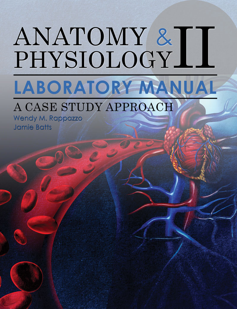 Anatomy and physiology: case studies quizlet image