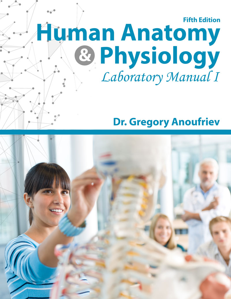 Human Anatomy & Physiology Laboratory Manual I
