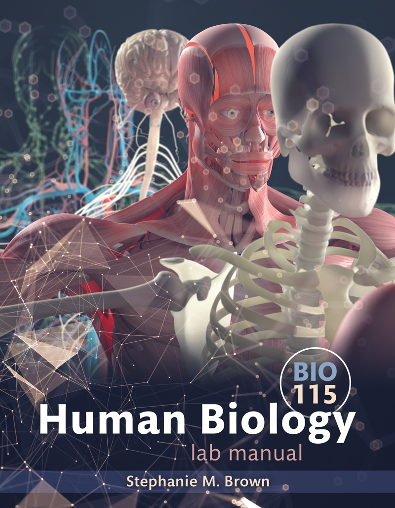 Human Biology Laboratory Manual
