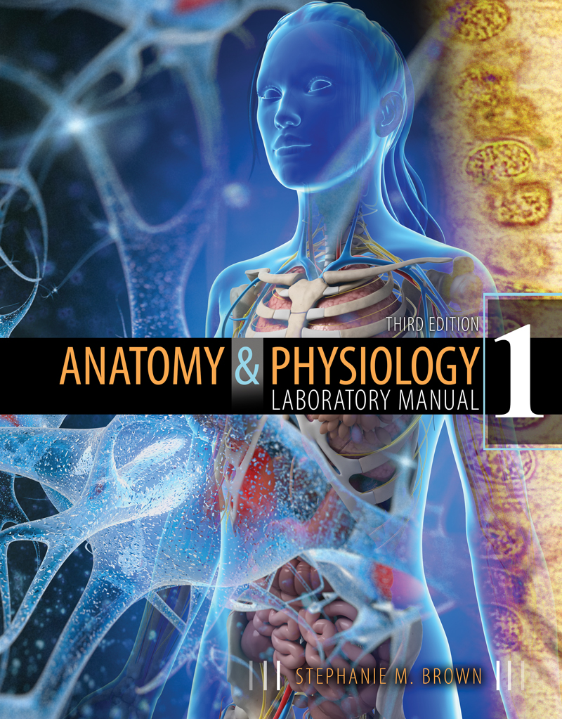 Anatomy & Physiology I Laboratory Manual