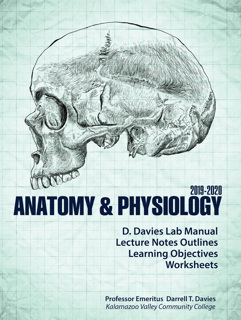 Anatomy & Physiology 2019-2020