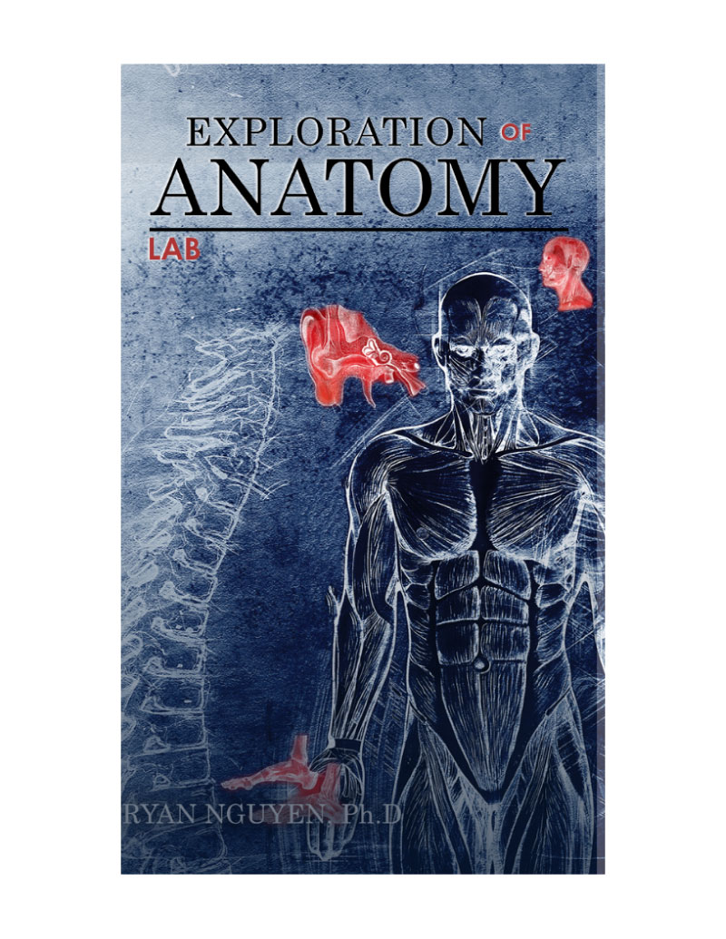 Exploration of Anatomy Laboratory