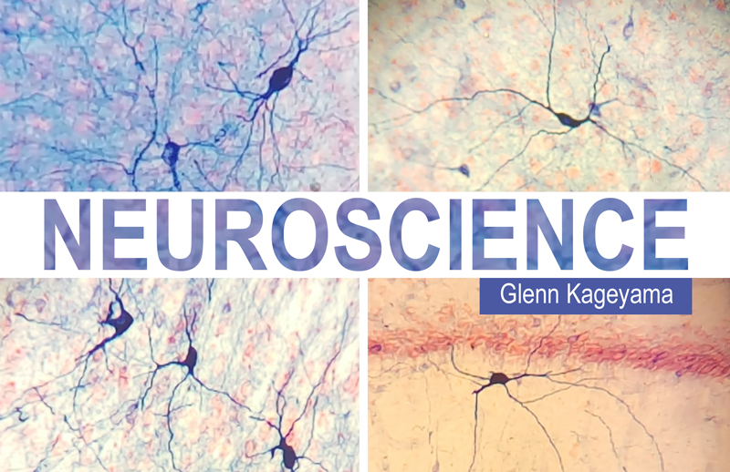 Neuroscience