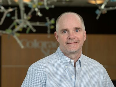 Todd Donavan