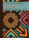 Collection of Case Studies in Higher Education Leadership