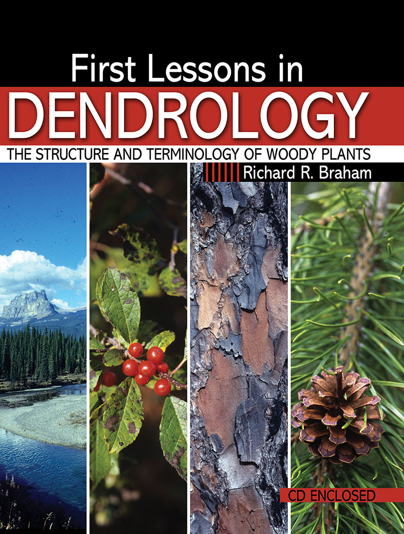 First Lessons in Dendrology