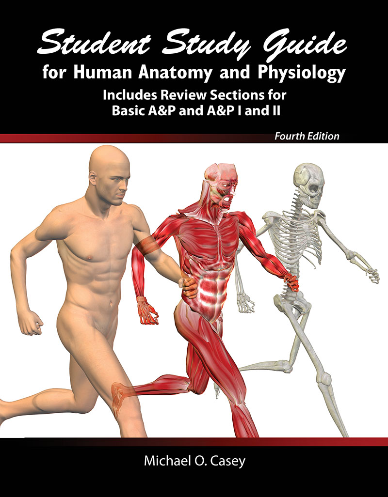 Student Study Guide for Human Anatomy and Physiology: Includes Review Sections for Basic A&P and A&P I and II