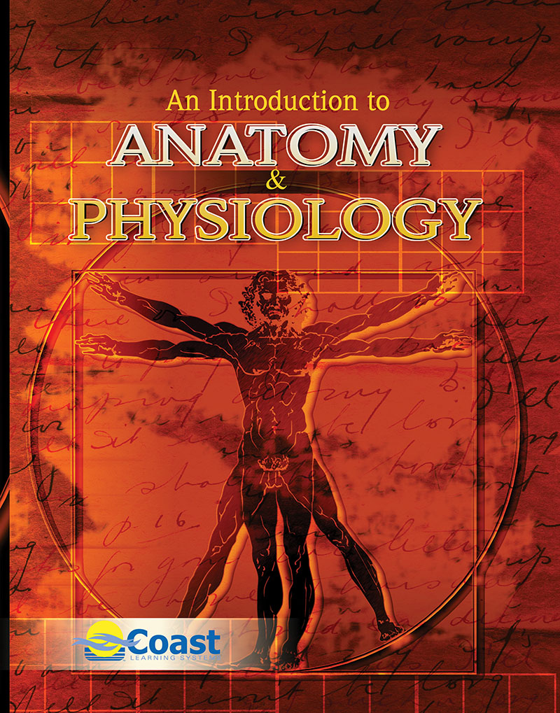 An Introduction To Anatomy And Physiology Higher Education