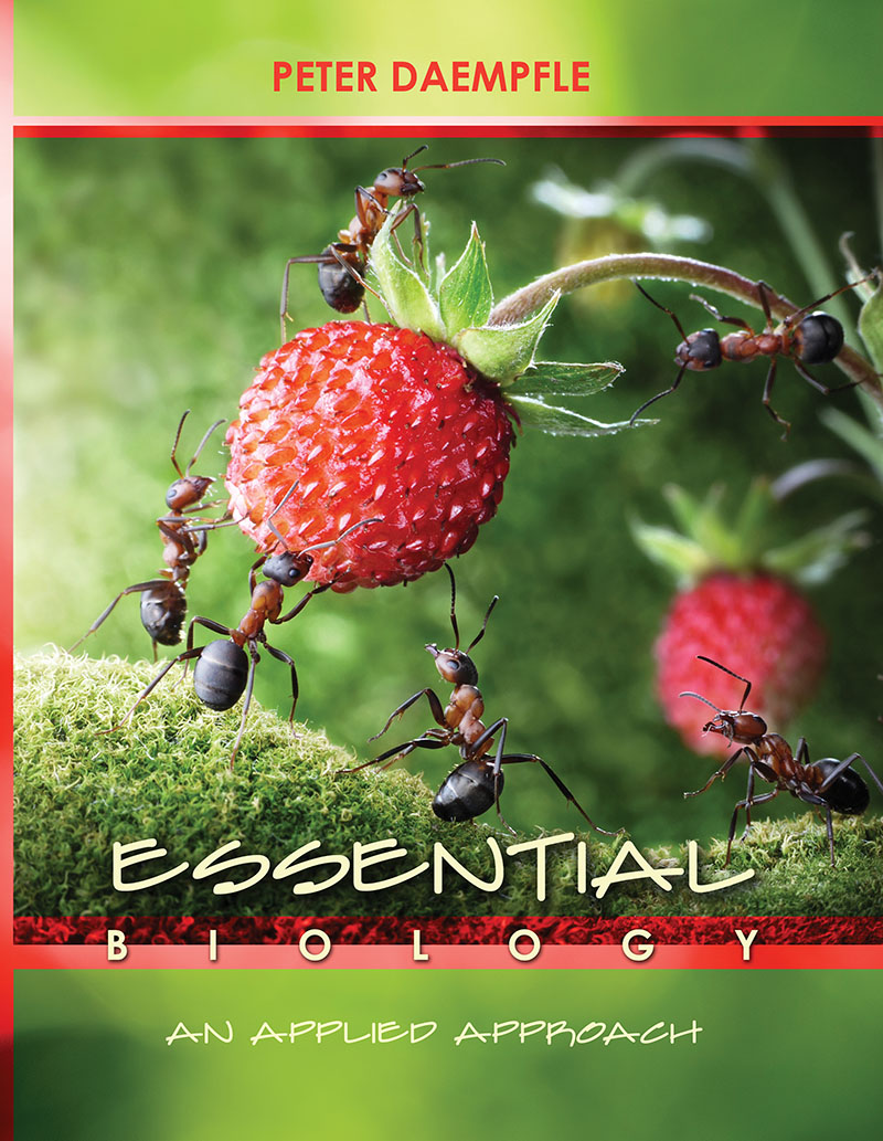 Download nutrition an applied approach