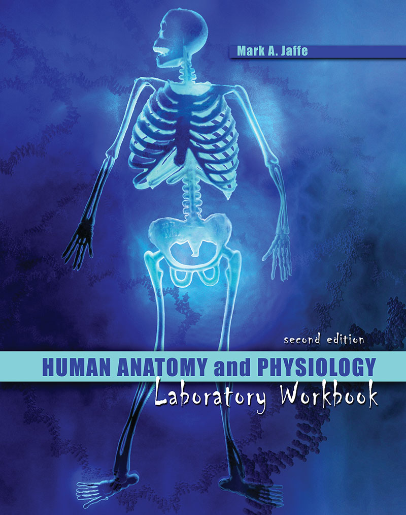 Human Anatomy and Physiology Laboratory Workbook
