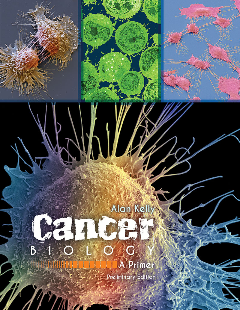 A Cancer Biology Primer