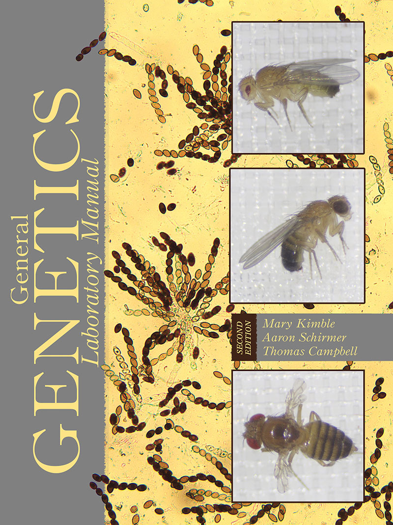 General Laboratory Manual Higher Education