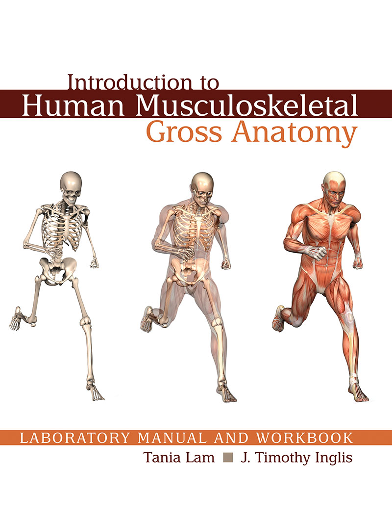 Introduction to Human Musculoskeletal Gross Anatomy Laboratory Manual and Workbook
