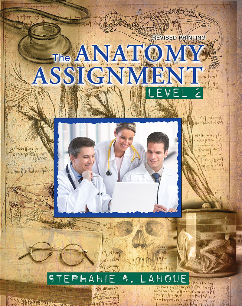 The Anatomy Assignment: Level 2