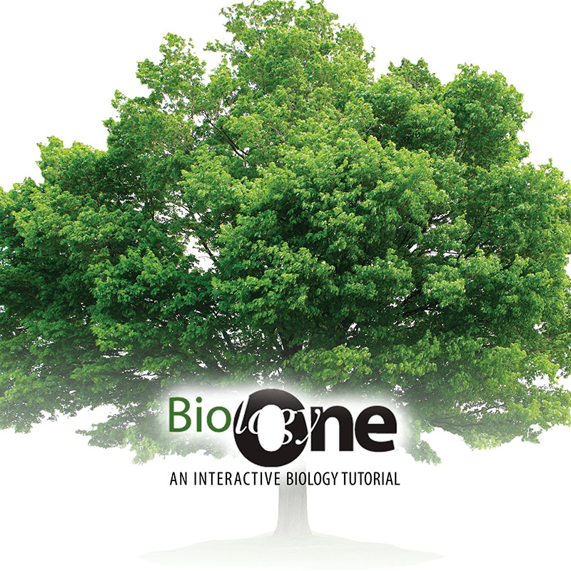 Biology One: An Interactive Biology Tutorial Volume 2
