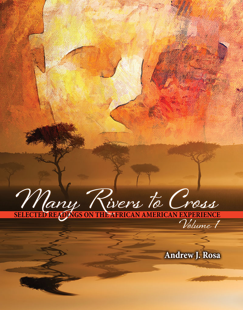 Many Rivers to Cross: Selected Readings on the African American Experience: Vol 1, Preliminary Edition