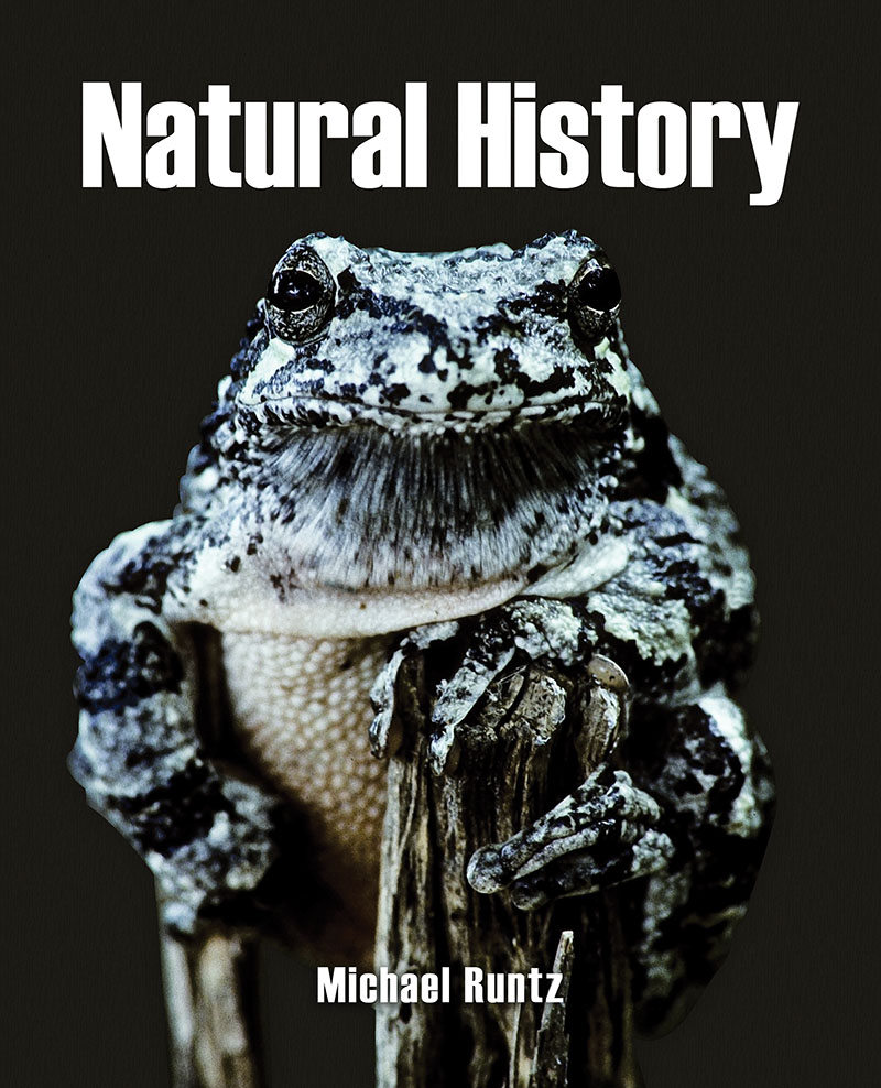 Natural History