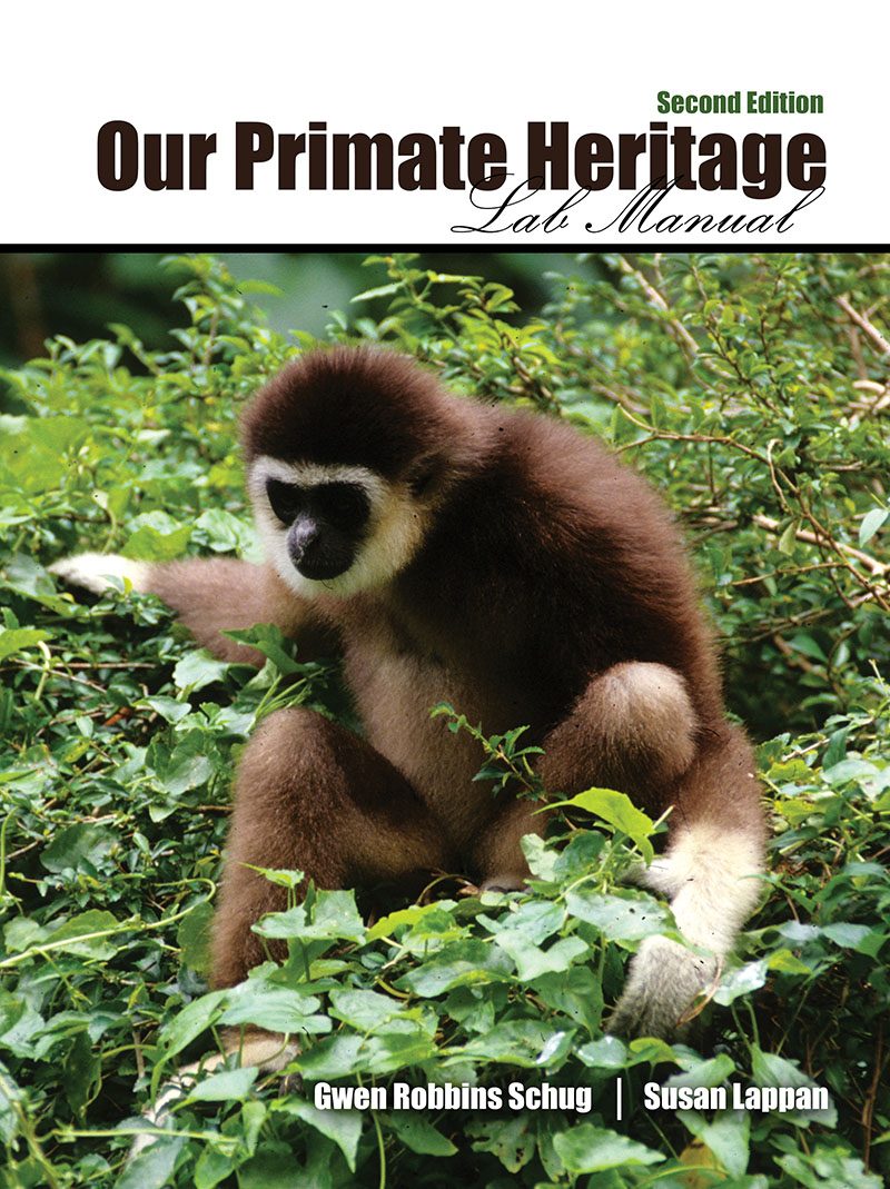 Our Primate Heritage Lab Manual