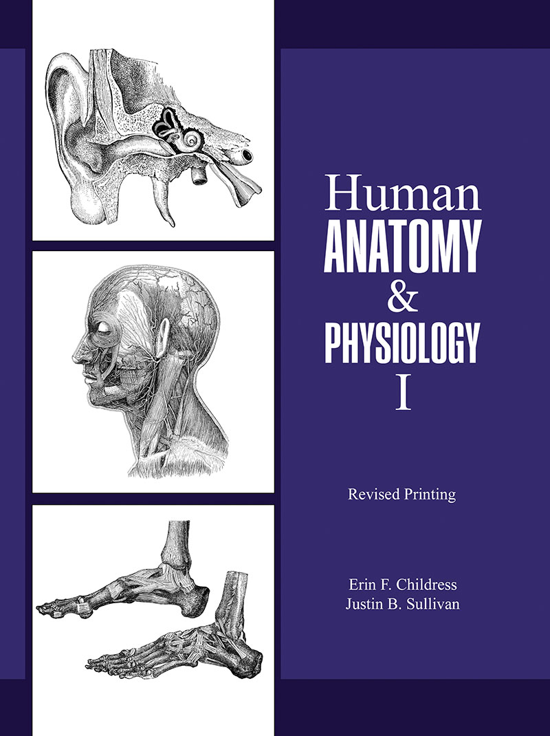 Human Anatomy and Physiology I