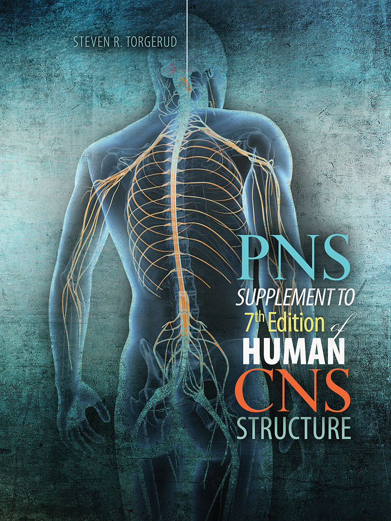 PNS Supplement to 7th Edition of Human CNS Structure