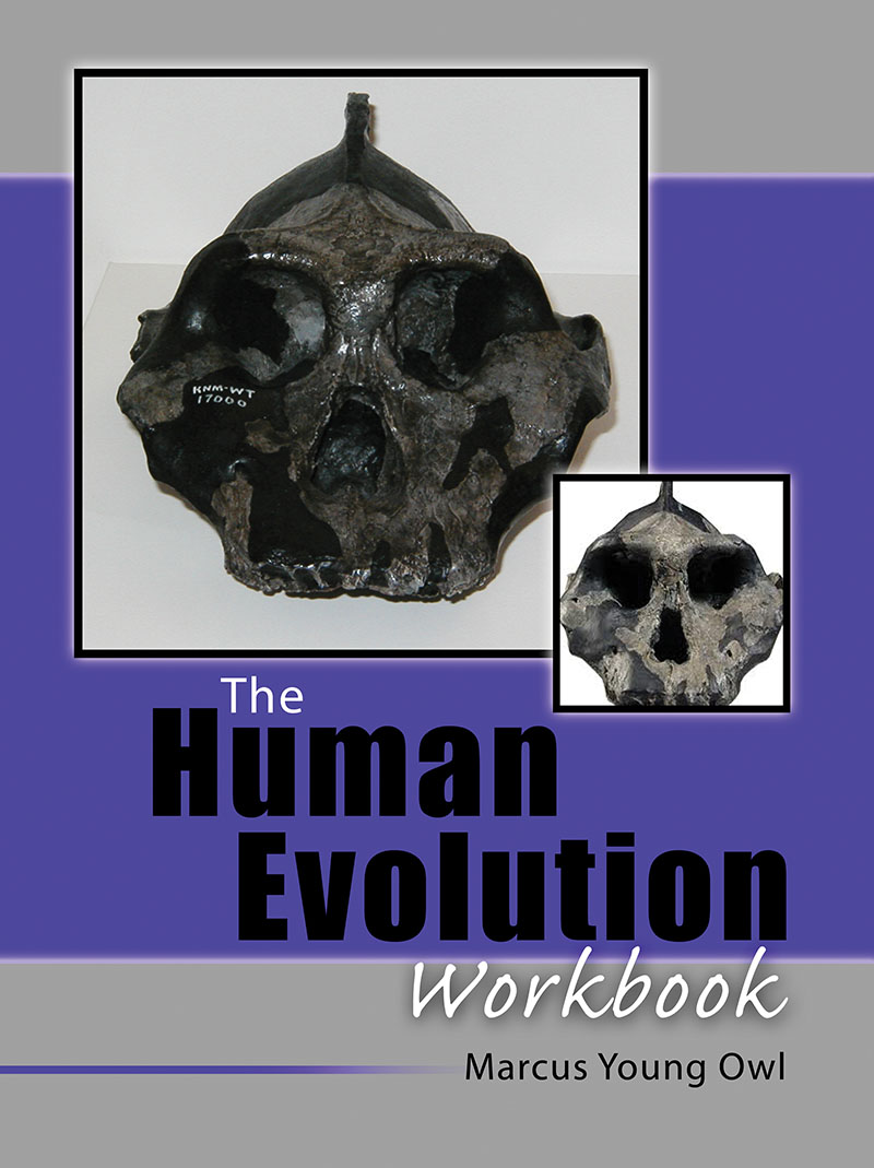 The Human Evolution Workbook