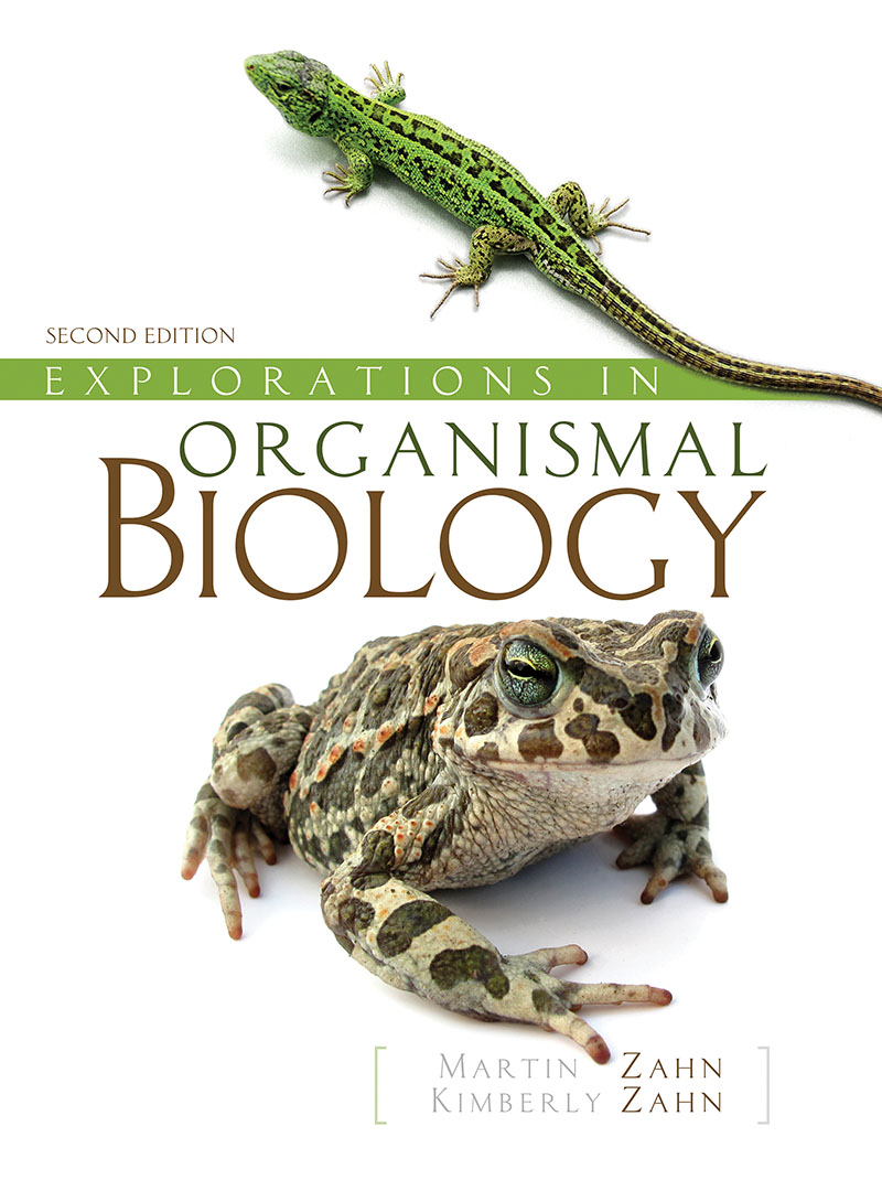 Explorations in Organismal Biology