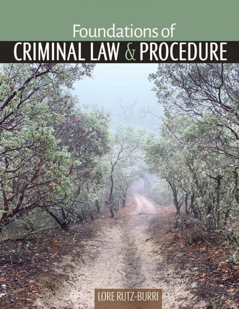 Foundations of Criminal Law and Procedure, Preliminary Edition