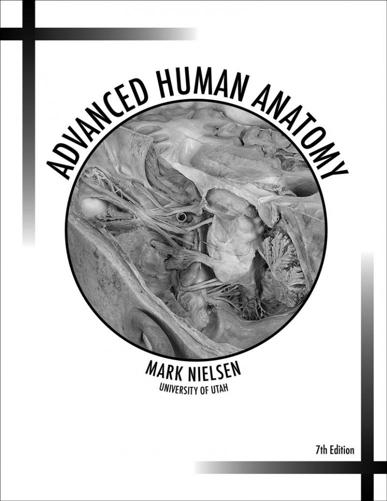 Advanced Human Anatomy Higher Education