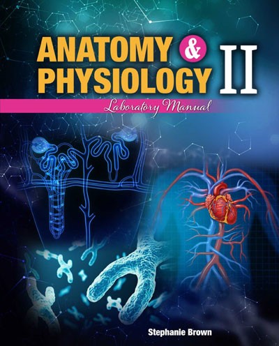 Anatomy & Physiology II Laboratory Manual