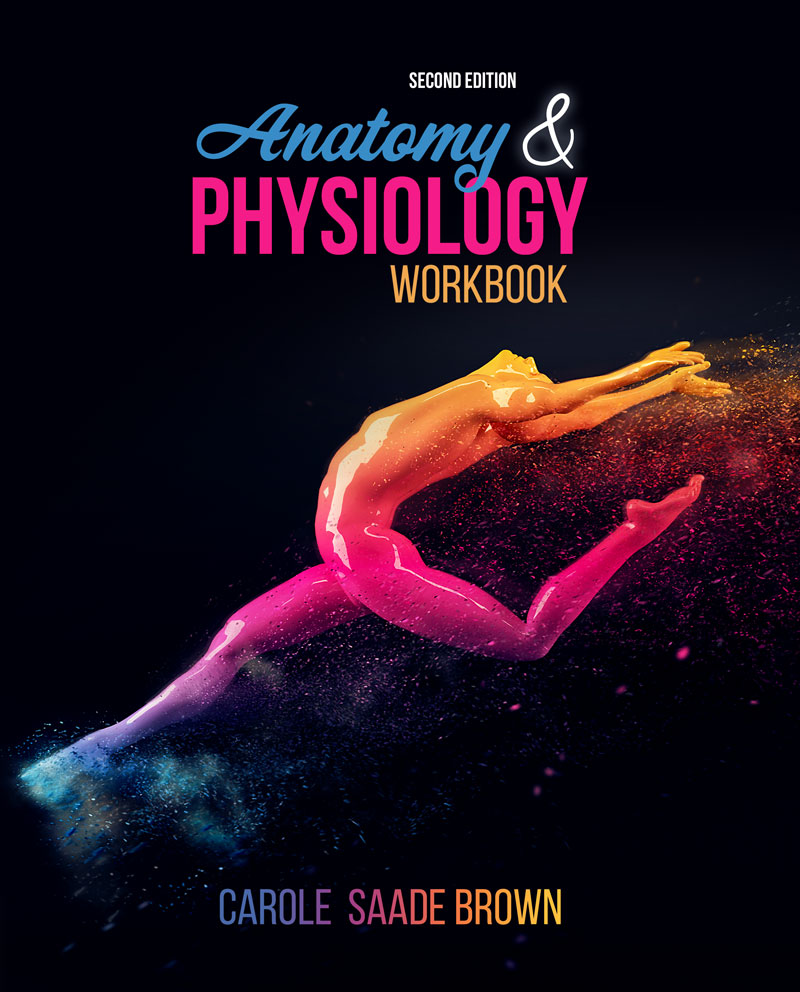 Human Anatomy & Physiology Workbook